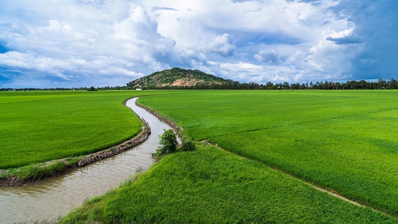 Irrigation Setup